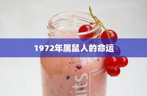 1972年属鼠人的命运