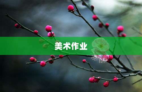 美术作业