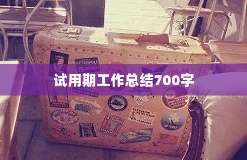 试用期工作总结700字