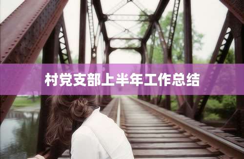 村党支部上半年工作总结