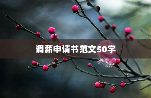 调薪申请书范文50字