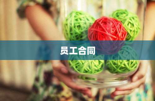员工合同