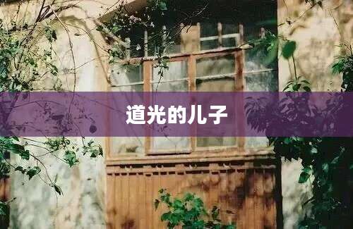 道光的儿子