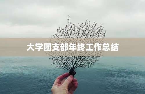 大学团支部年终工作总结