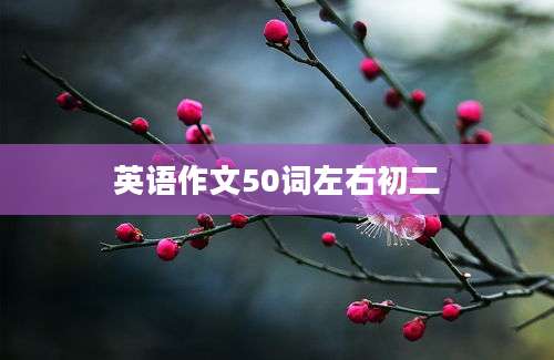 英语作文50词左右初二