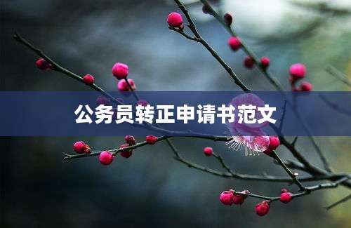 公务员转正申请书范文