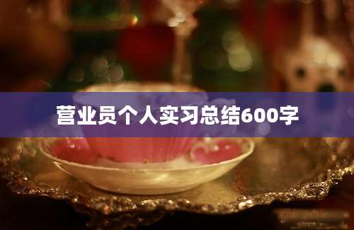 营业员个人实习总结600字