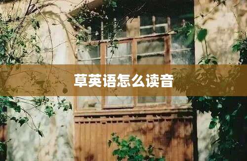 草英语怎么读音