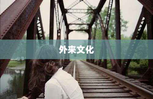 外来文化