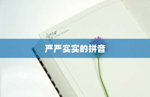 严严实实的拼音