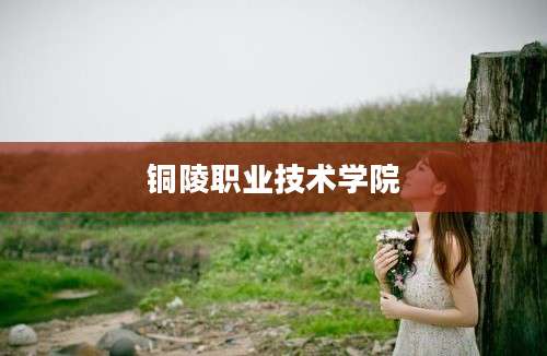 铜陵职业技术学院