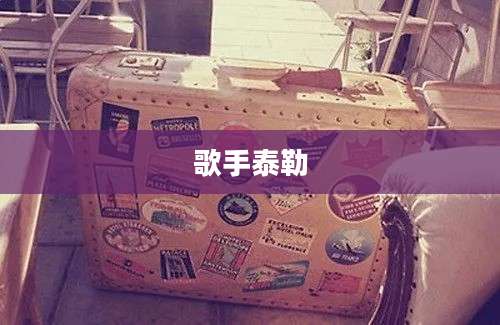 歌手泰勒