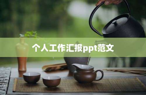 个人工作汇报ppt范文