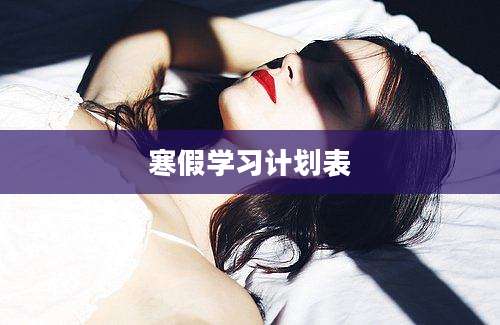 寒假学习计划表