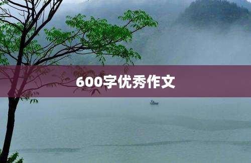 600字优秀作文