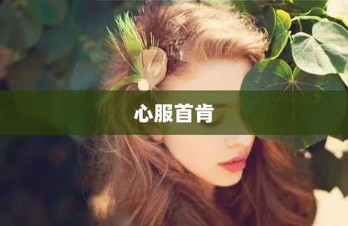 心服首肯