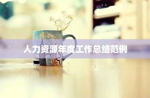 人力资源年度工作总结范例