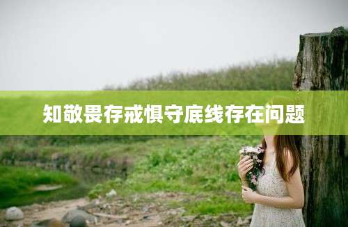 知敬畏存戒惧守底线存在问题