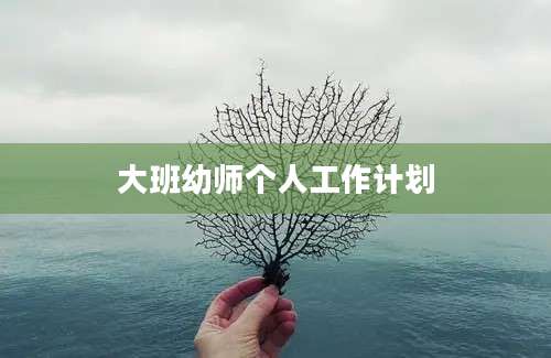 大班幼师个人工作计划