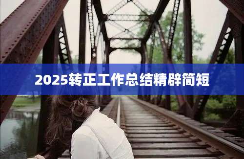 2025转正工作总结精辟简短