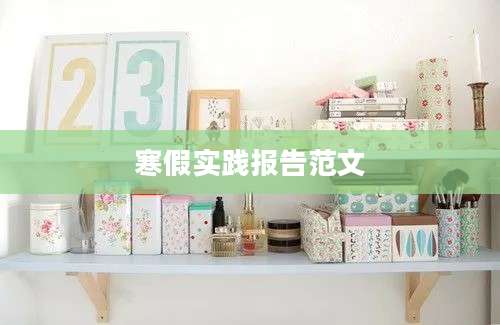 寒假实践报告范文