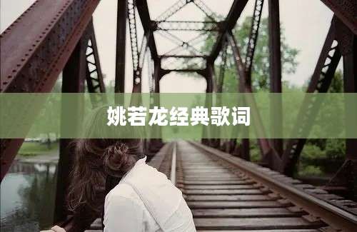 姚若龙经典歌词