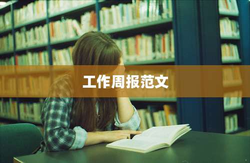 工作周报范文