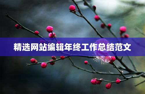 精选网站编辑年终工作总结范文