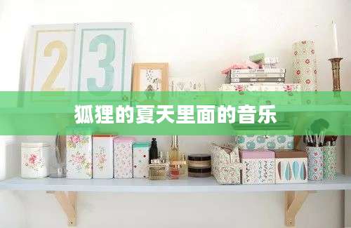 狐狸的夏天里面的音乐