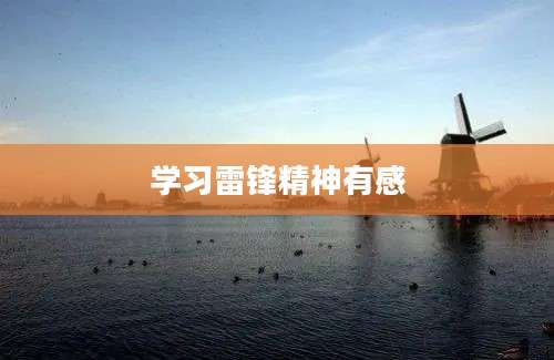学习雷锋精神有感