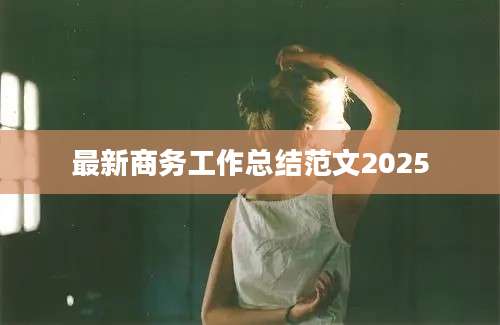 最新商务工作总结范文2025