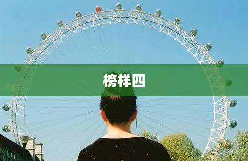 榜样四