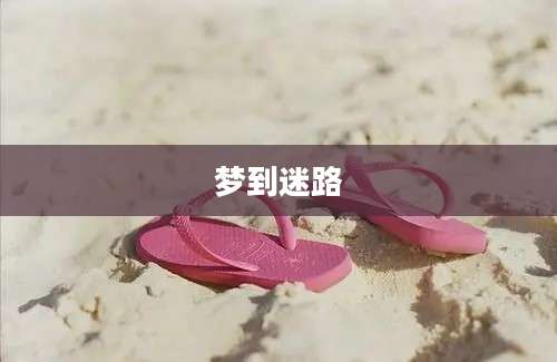 梦到迷路