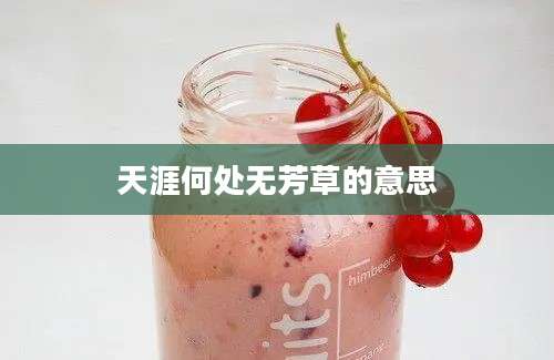 天涯何处无芳草的意思