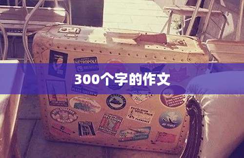300个字的作文