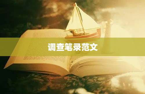 调查笔录范文