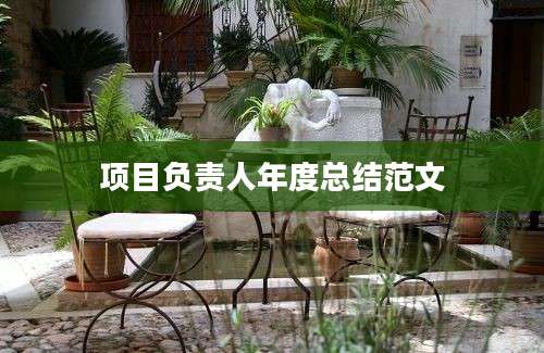 项目负责人年度总结范文