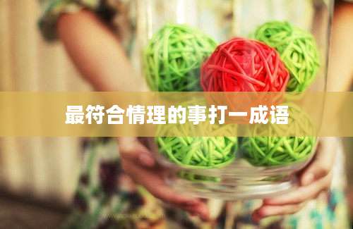 最符合情理的事打一成语