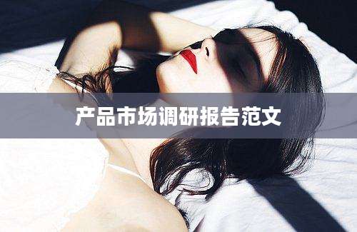 产品市场调研报告范文