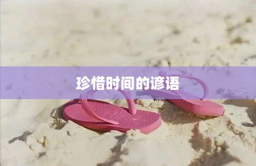珍惜时间的谚语