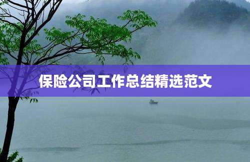 保险公司工作总结精选范文