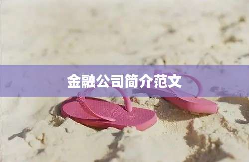 金融公司简介范文