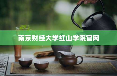 南京财经大学红山学院官网
