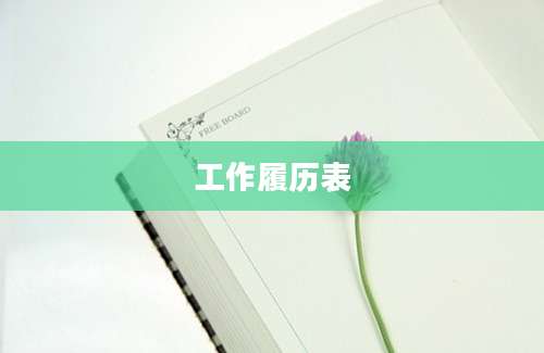 工作履历表