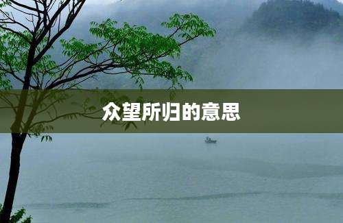 众望所归的意思