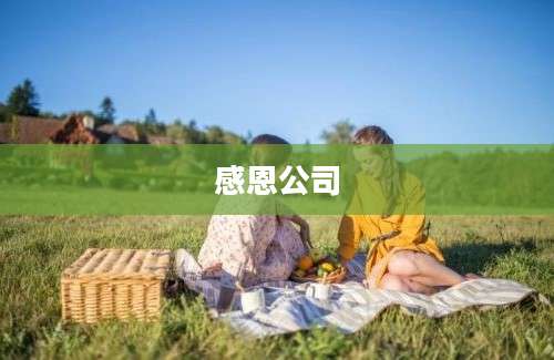 感恩公司