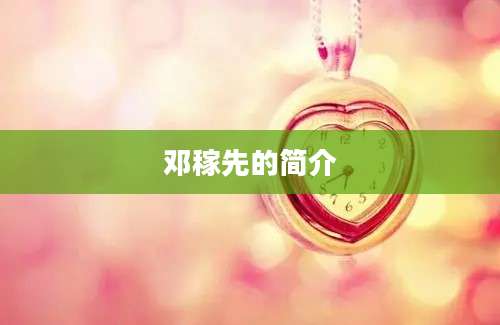 邓稼先的简介