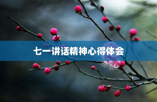 七一讲话精神心得体会