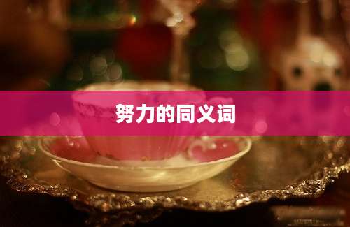 努力的同义词