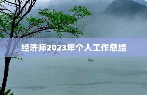 经济师2023年个人工作总结